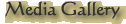 Media Gallery